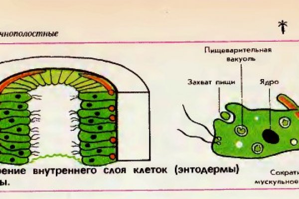 Официальный ссылка на kraken kramp.cc